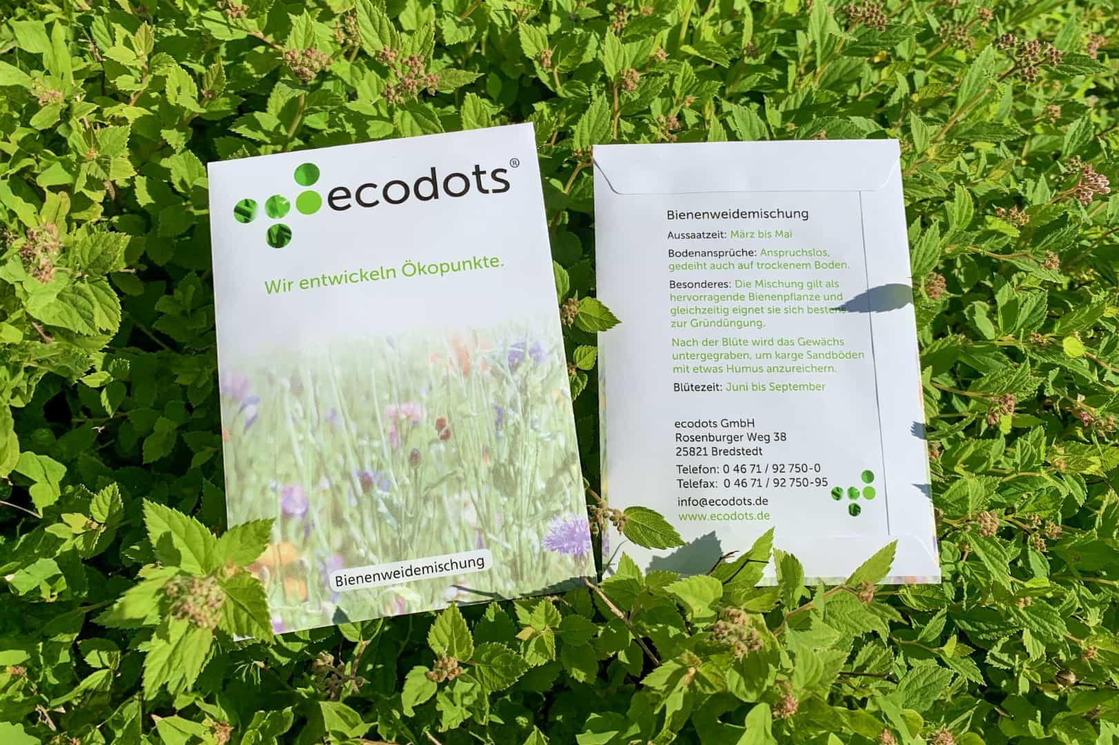 Vorder- und Rückseite der Samentüten von ecodots liegen im Gras